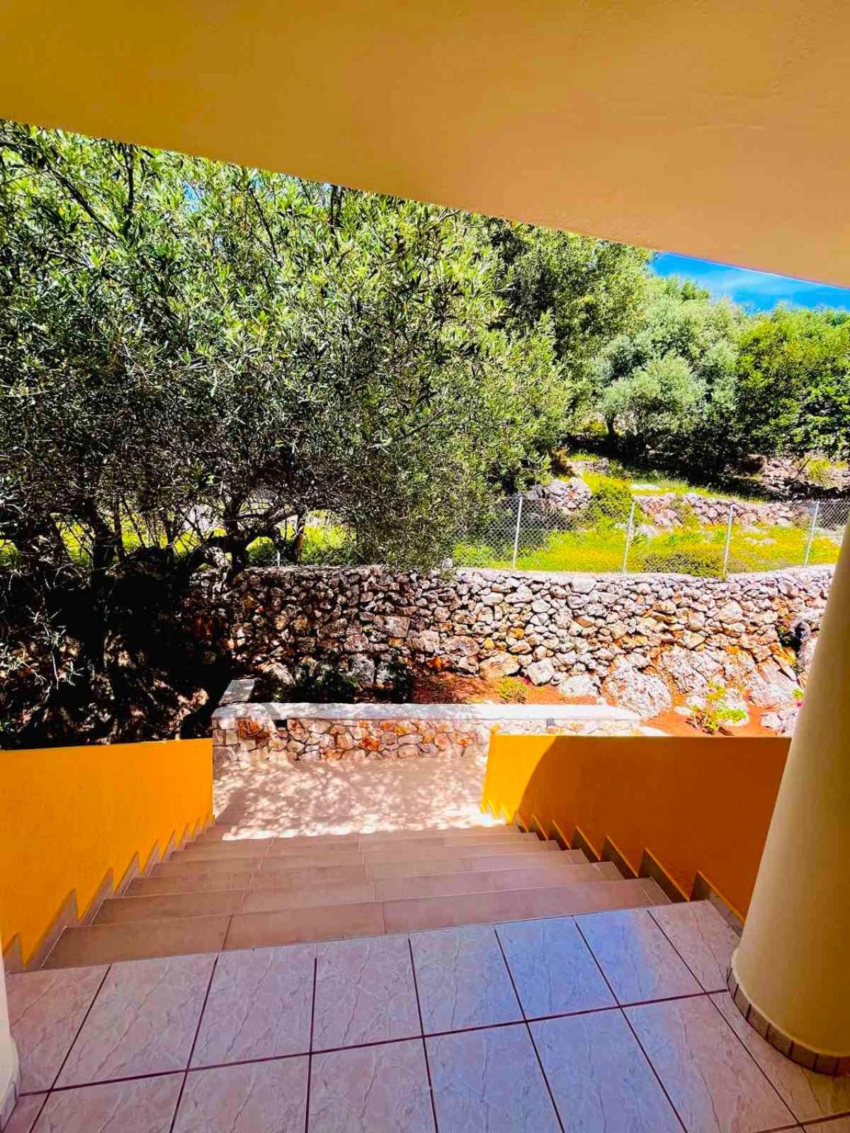 Asteras Studios Argostoli  Exterior foto