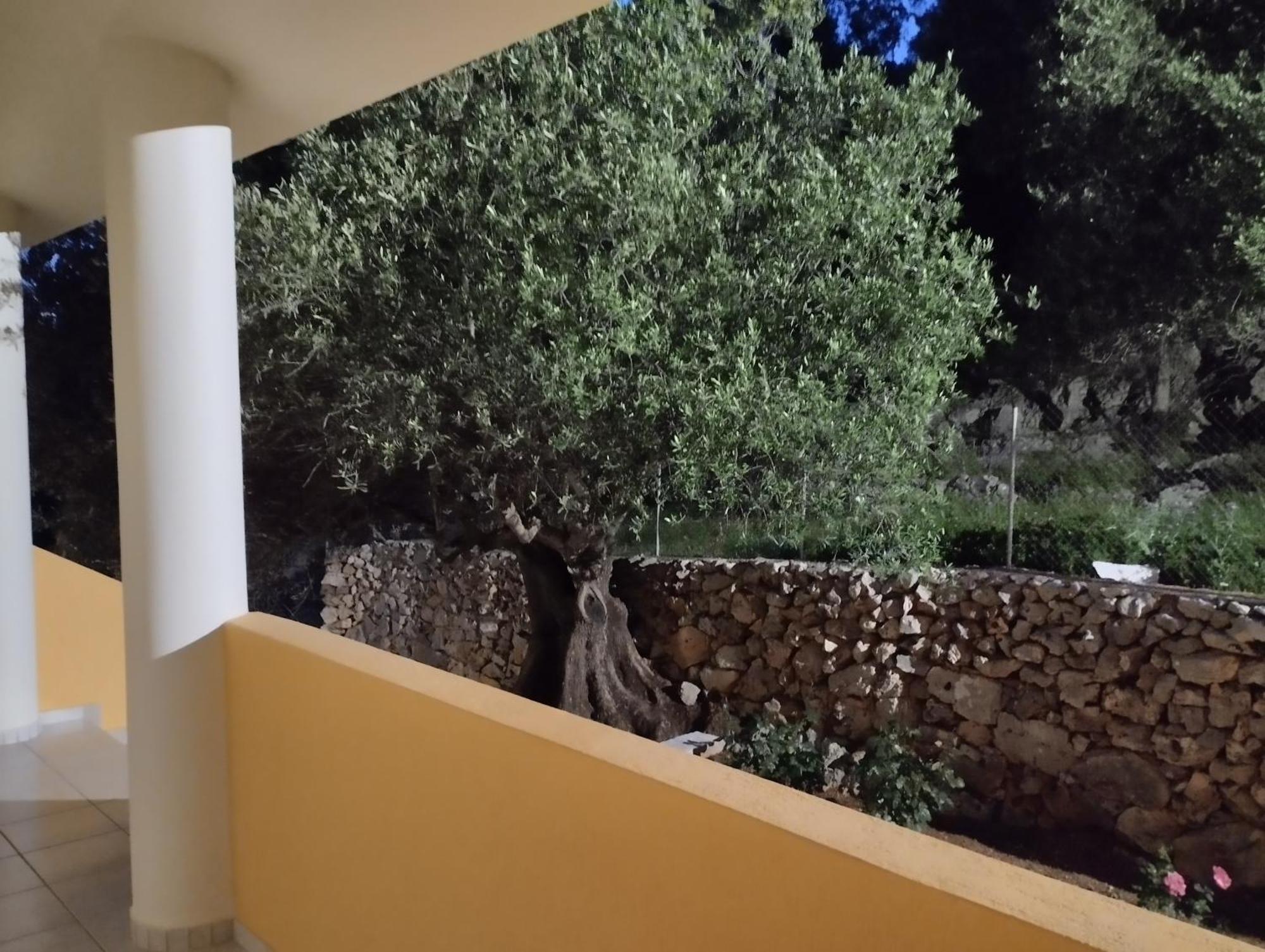 Asteras Studios Argostoli  Exterior foto